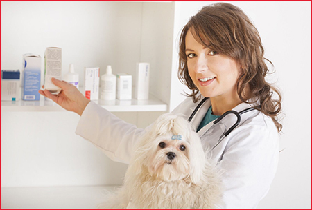 products for veterinary use